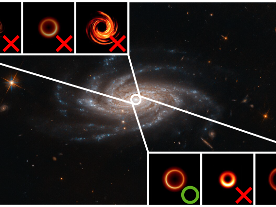 Machine Learning Reveals How Black Holes Grow Functional Genomics Core